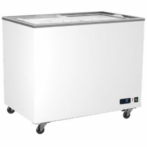 Congélateur Vitrées Portes Coulissantes - 208 à 582 Litres - Virtus